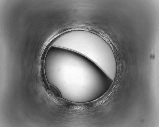 X0000099550344200805160732