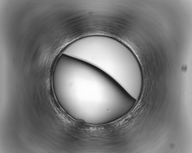 X0000099550345200805160732