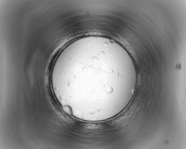 X0000099550347200805160732