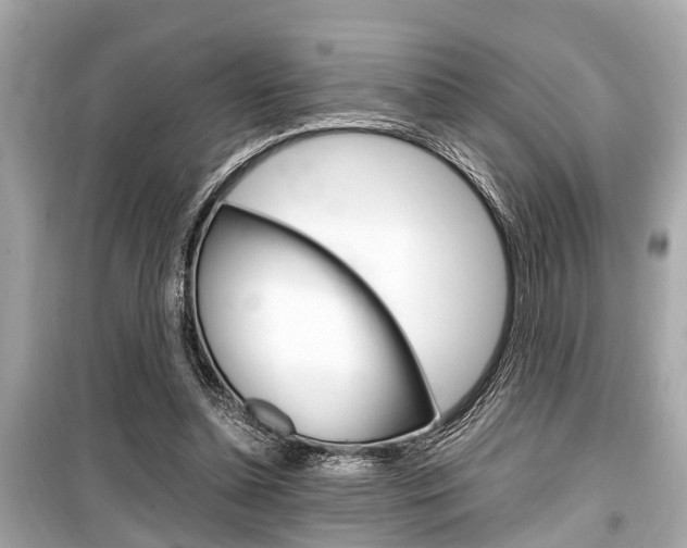X0000099550348200805160732