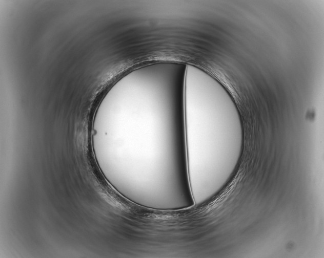 X0000099550349200805160732