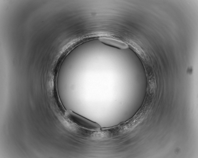 X0000099550350200805160732