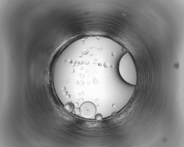 X0000099550351200805160732