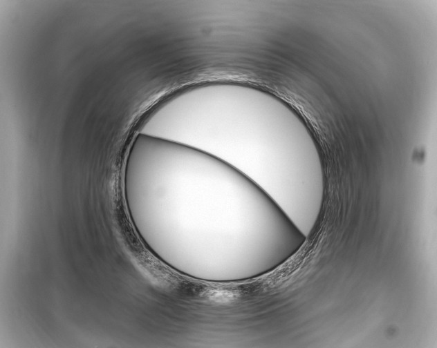 X0000099550352200805160732