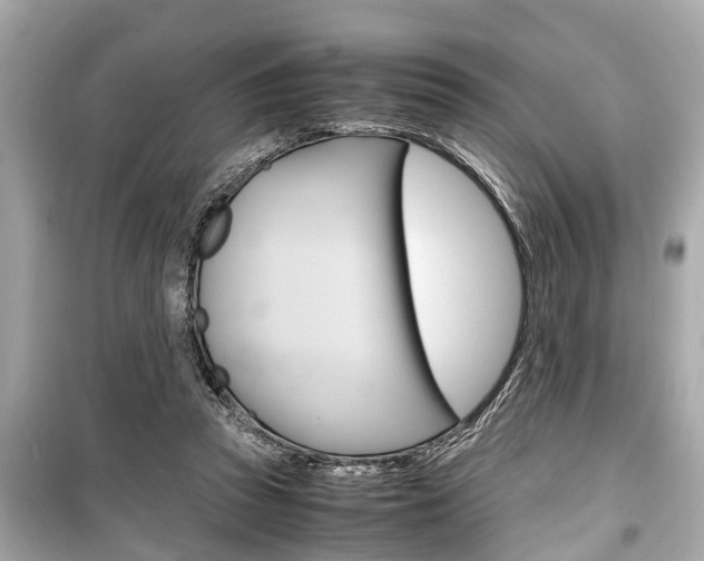 X0000099550353200805160732