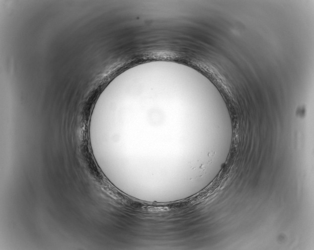 X0000099550355200805160732