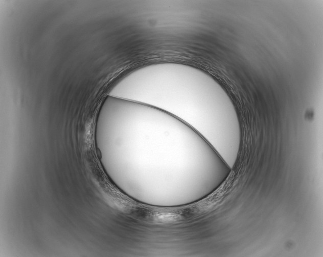 X0000099550360200805160732