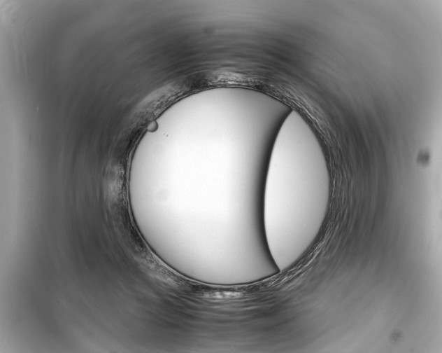 X0000099550361200805160732