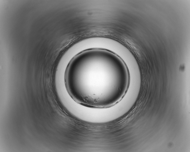 X0000099550362200805160732