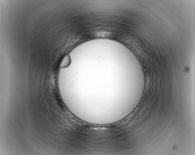 X0000099550363200805160732