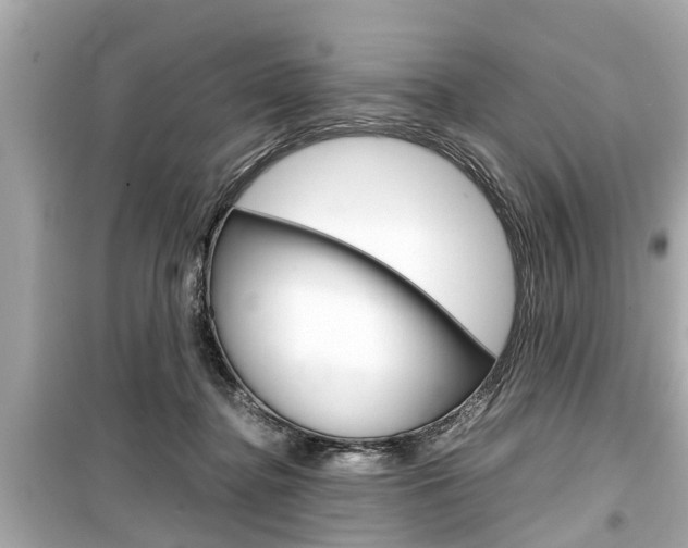 X0000099550364200805160732