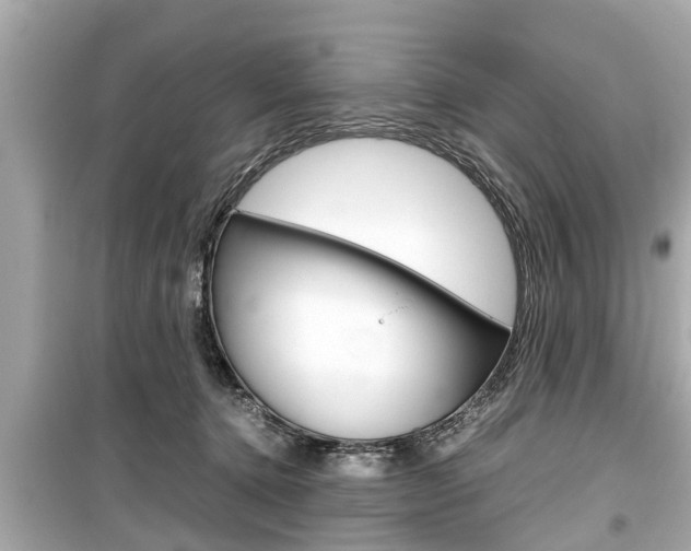 X0000099550368200805160732