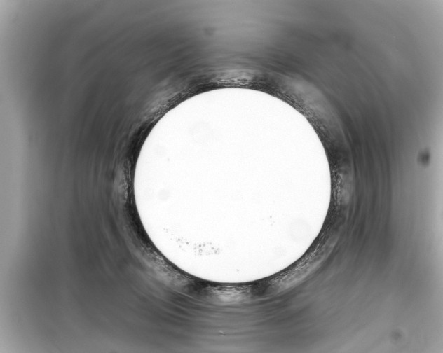 X0000099550370200805160732