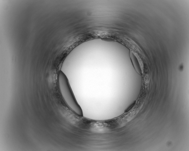 X0000099550372200805160732