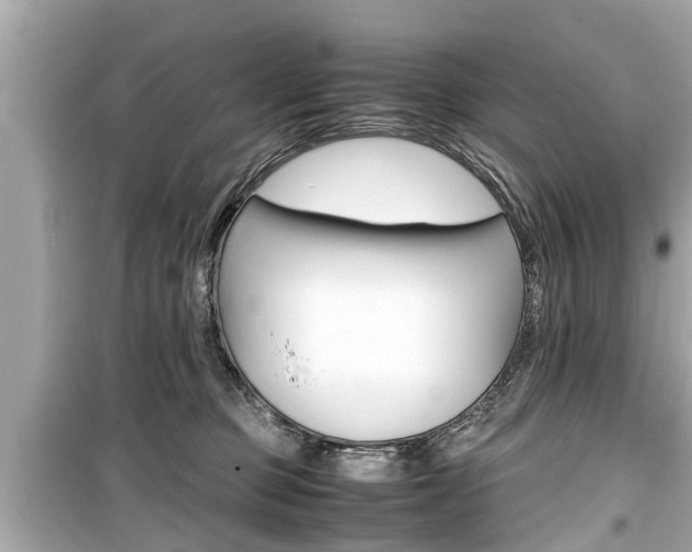 X0000099550373200805160732