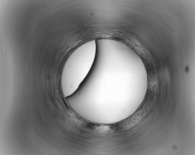 X0000099550374200805160732