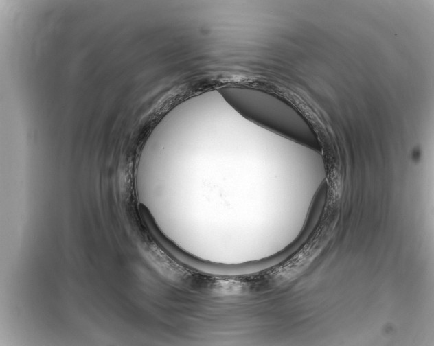 X0000099550376200805160732
