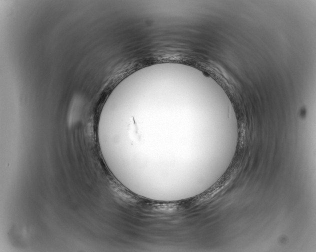 X0000099550377200805160732