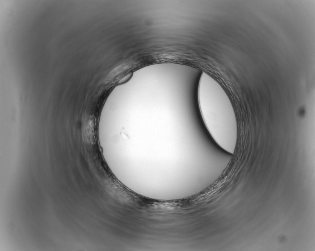 X0000099550378200805160732