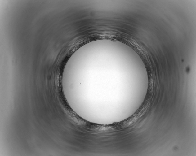 X0000099550379200805160732