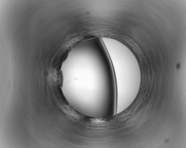 X0000099550380200805160732
