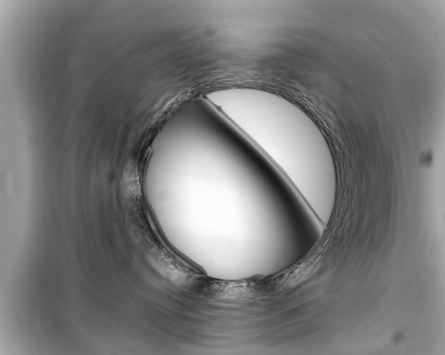 X0000099550384200805160732