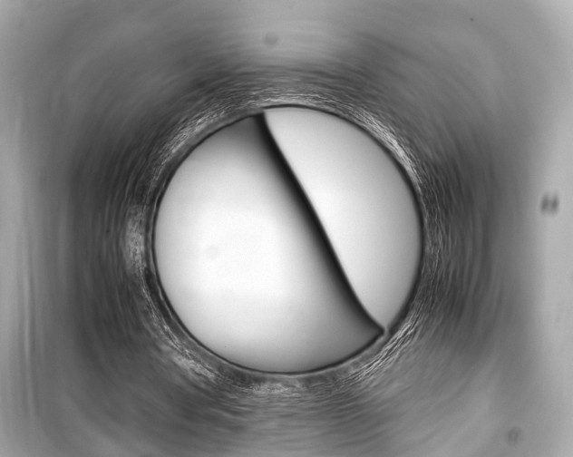 X0000099550386200805160731