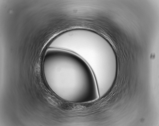 X0000099550387200805160731