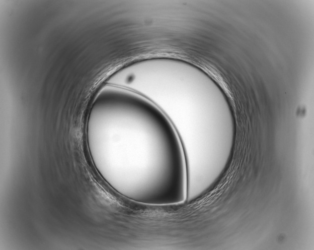 X0000099550389200805160731