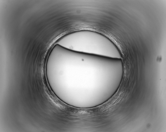 X0000099550390200805160731