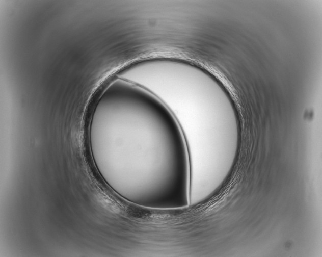 X0000099550391200805160731