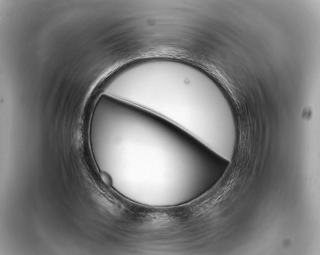 X0000099550392200805160731