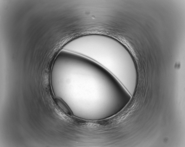 X0000099550393200805160731