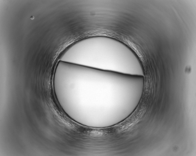 X0000099550394200805160731