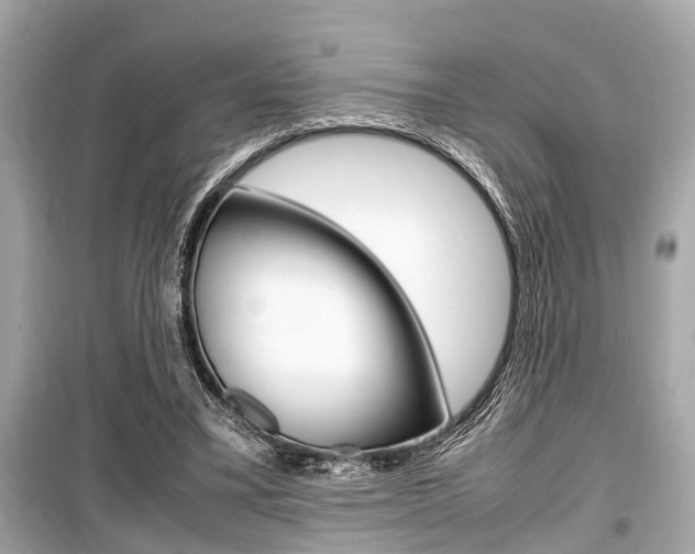 X0000099550395200805160731