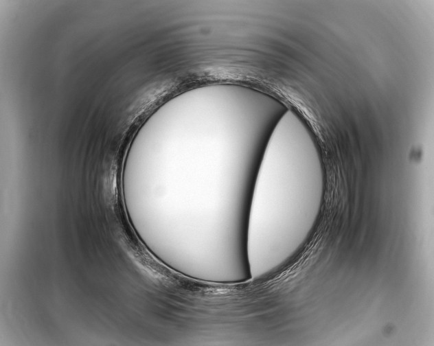 X0000099550398200805160731