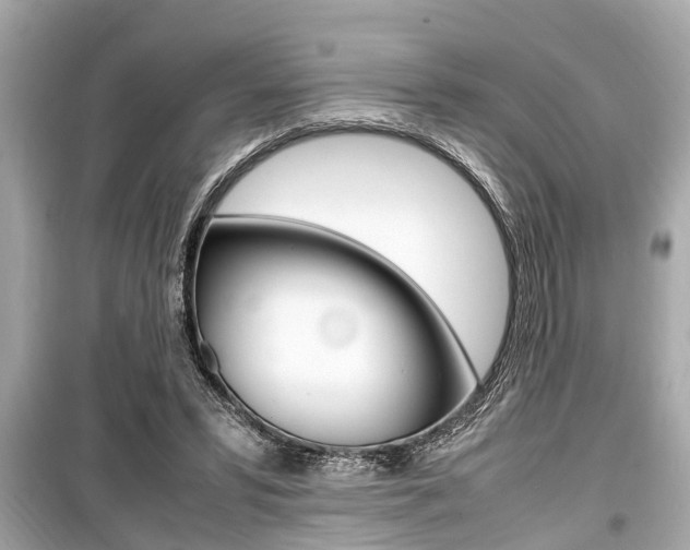 X0000099550399200805160731