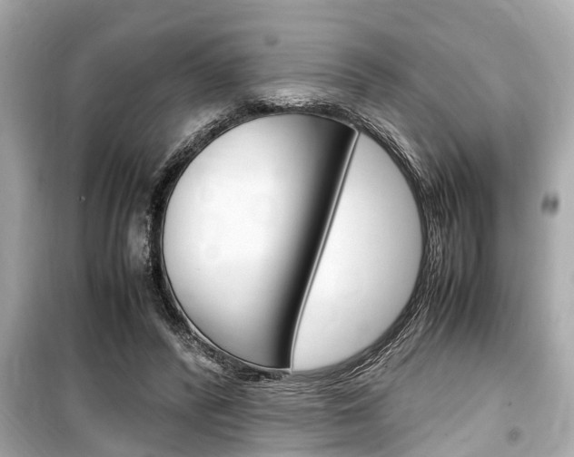 X0000099550400200805160731