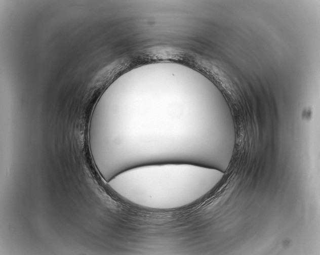 X0000099550402200805160731
