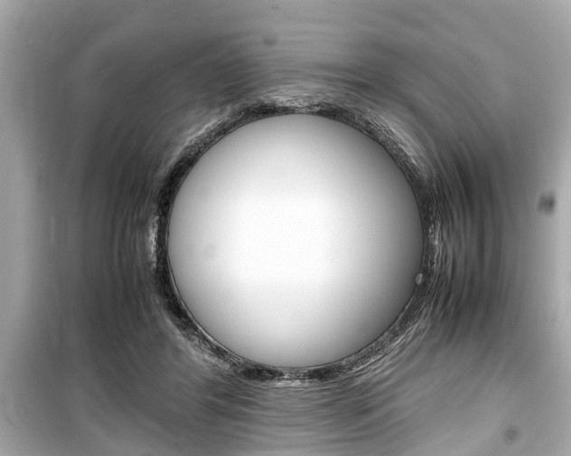 X0000099550404200805160731