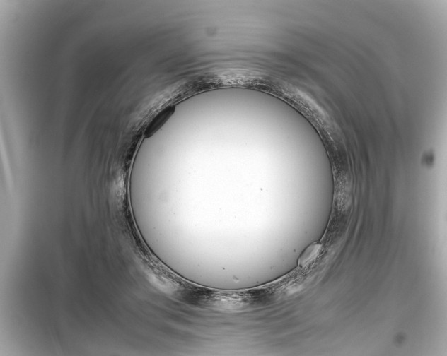 X0000099550405200805160731