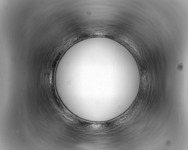 X0000099550406200805160731