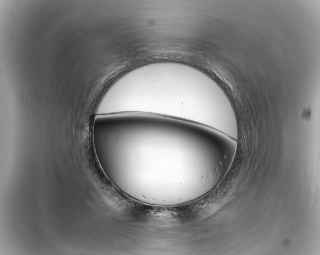 X0000099550407200805160731