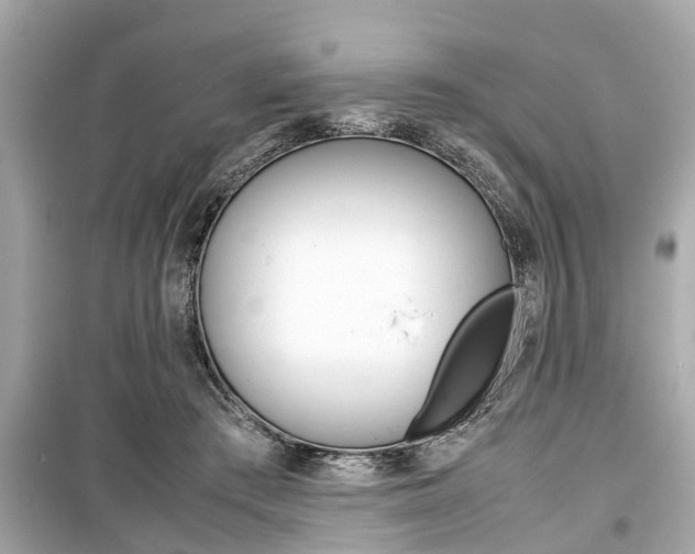 X0000099550409200805160731