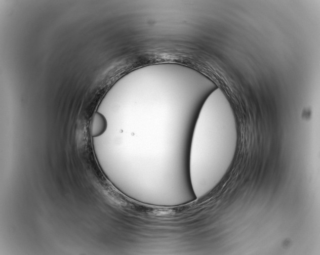 X0000099550410200805160731