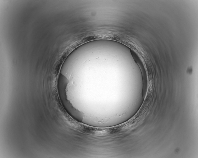 X0000099550411200805160731