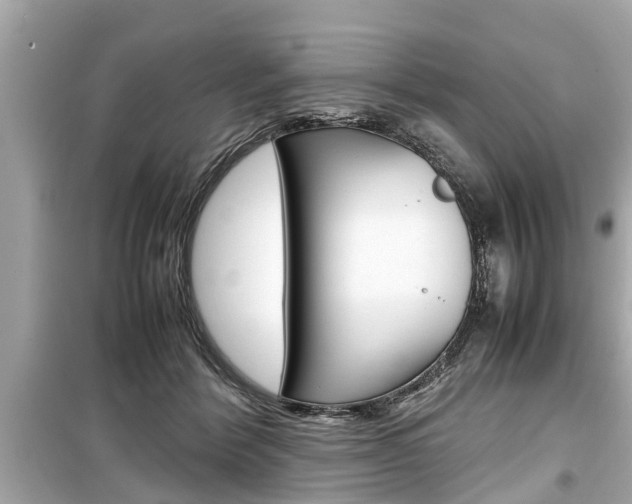 X0000099550412200805160731