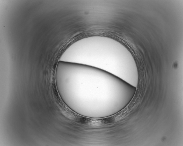 X0000099550413200805160731