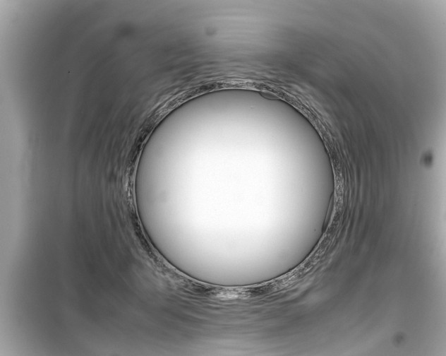 X0000099550415200805160731