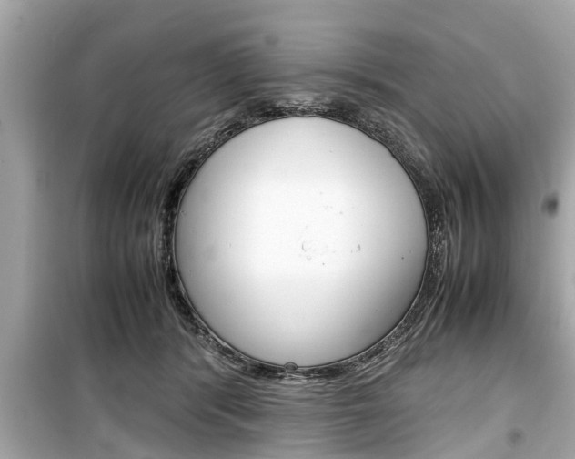 X0000099550416200805160731